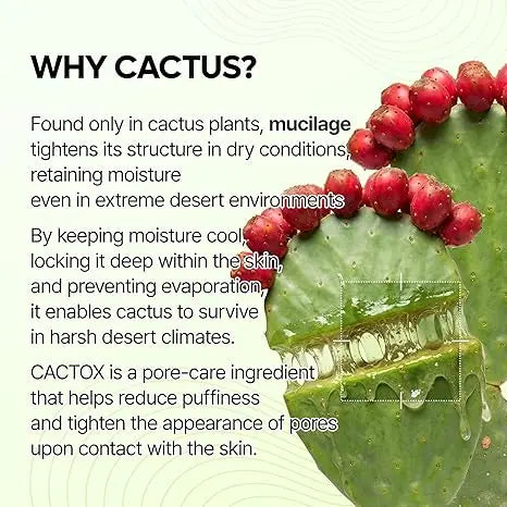 Dr.Melaxin Cactox Pore Relief Jelly Serum Mist, Instant Cooling Face Mist 80ml
