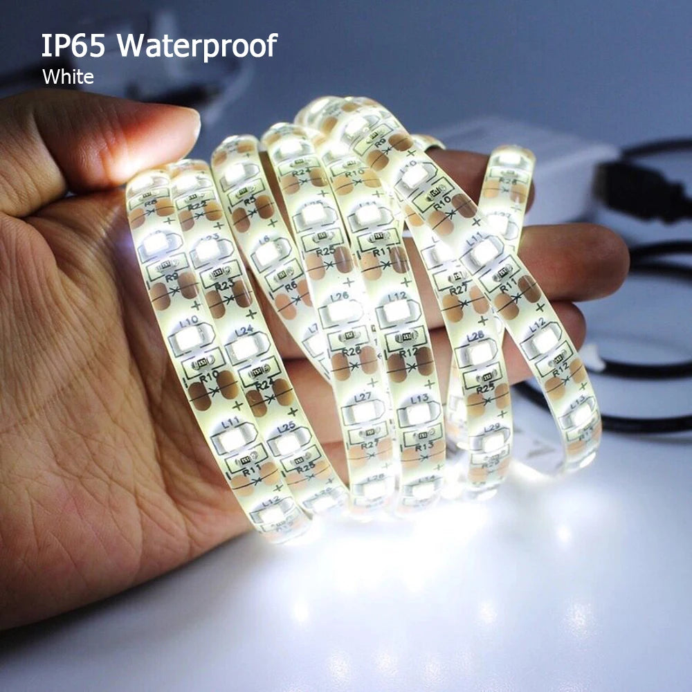2835 RGB LED Strip Light 5V USB Power Flexible LED RGB/ White Ribbon 60LED 0.5m 1m 2m  5m TV Desktop Screen BackLight Diode Tape